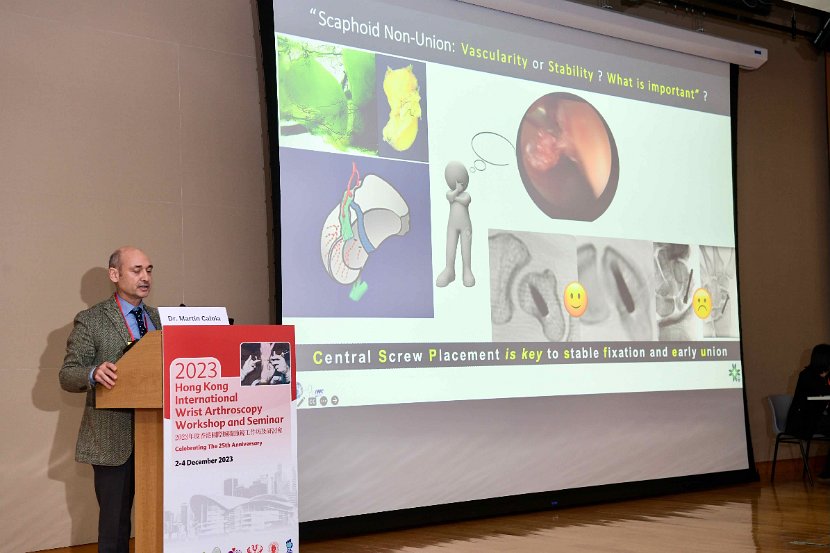 2023 Wrist Course - Seminar 2 Dec  - 41 of 266